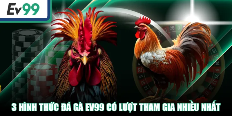 Đá Gà EV99 - Live Betting Nhận Tiền Thưởng Khủng