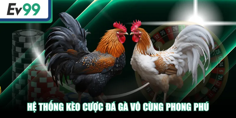 WS168 | Sảnh Đá Gà Đỉnh Cao, Trải Nghiệm Độc Quyền