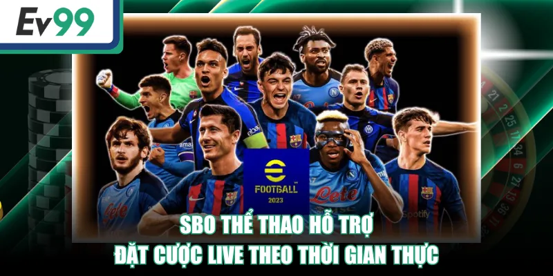 SBO Sport - Sảnh Cá Độ Thể Thao Uy Tín, Nhiều Kèo Hay