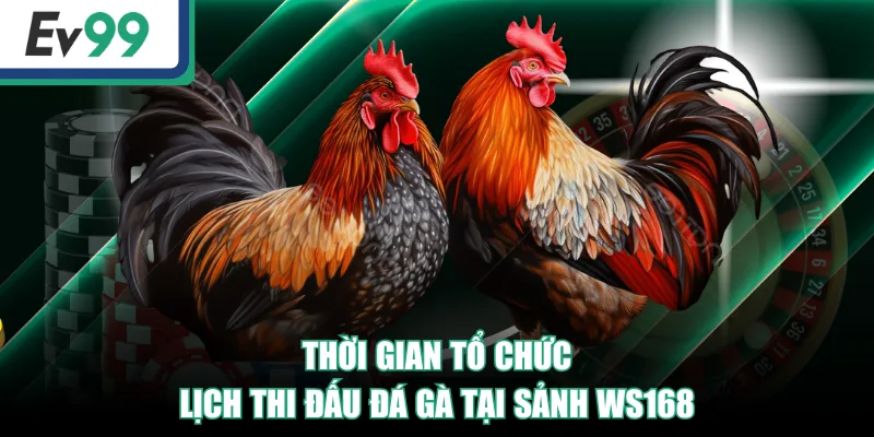 WS168 | Sảnh Đá Gà Đỉnh Cao, Trải Nghiệm Độc Quyền