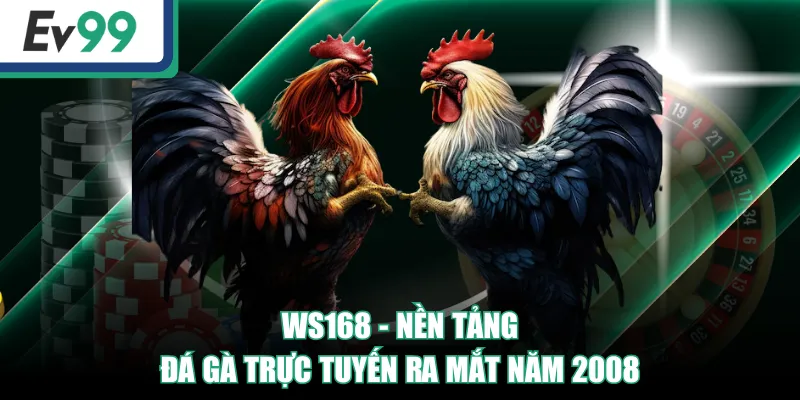 WS168 | Sảnh Đá Gà Đỉnh Cao, Trải Nghiệm Độc Quyền
